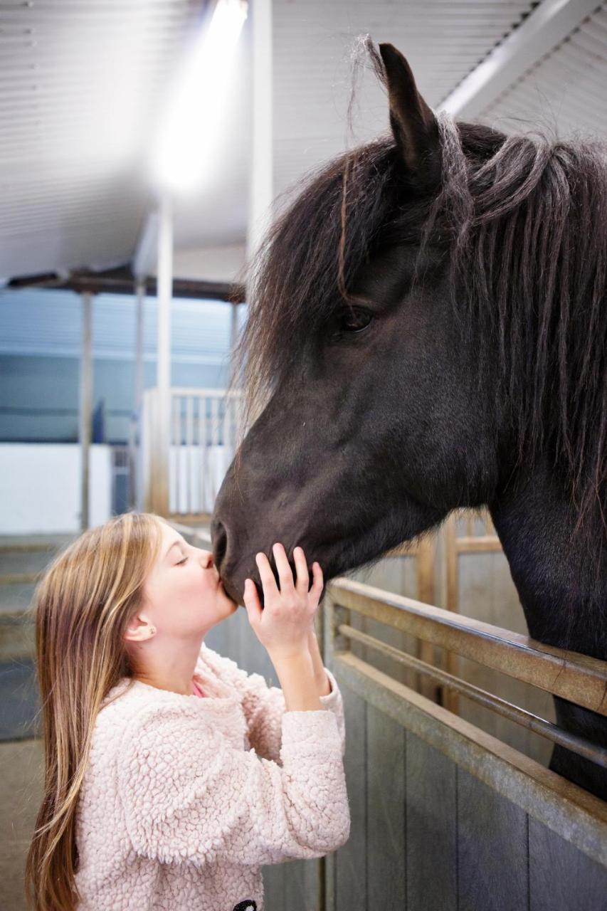 Hestaland Guesthouse Horse Farm Stay Statharhus Экстерьер фото