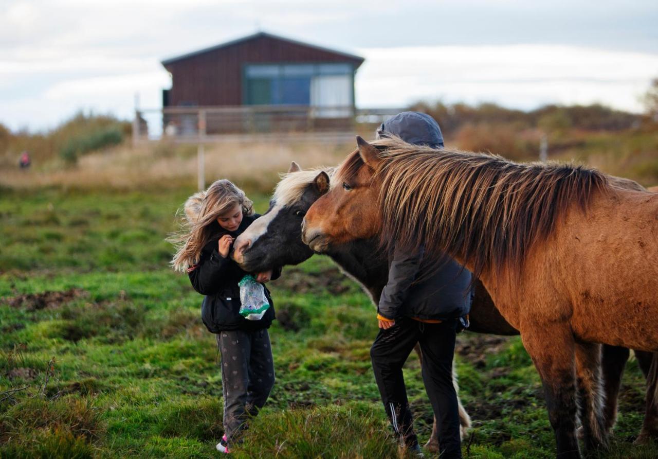 Hestaland Guesthouse Horse Farm Stay Statharhus Экстерьер фото